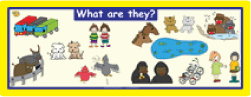 Plurals: 'What Are They?' Wall Poster